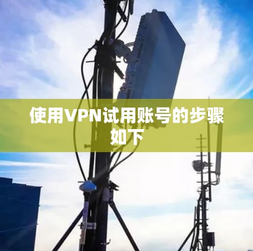 使用VPN试用账号的步骤如下