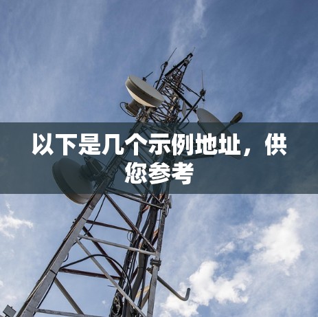 以下是几个示例地址，供您参考