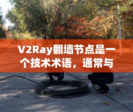 V2Ray翻墙节点是一个技术术语，通常与网络协议和网络安全相关。具体含义可能因上下文而异，但以下是一些可能的解释和应用