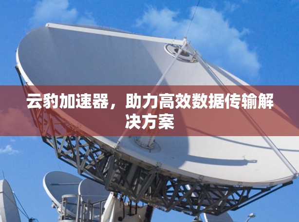 云豹加速器，助力高效数据传输解决方案