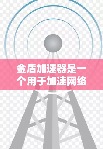 金盾加速器是一个用于加速网络连接的工具，通常用于提高数据传输速度。以下是关于该加速器的详细信息
