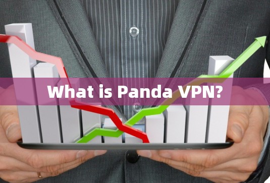 What is Panda VPN?