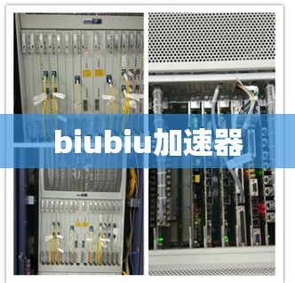 biubiu加速器