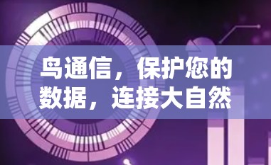 鸟通信，保护您的数据，连接大自然
