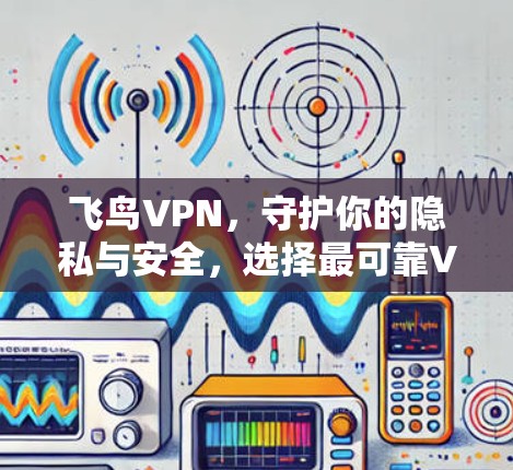 飞鸟VPN，守护你的隐私与安全，选择最可靠VPN平台