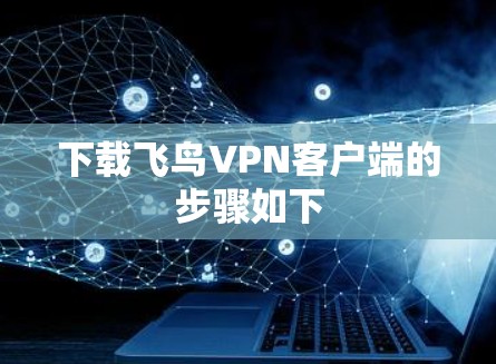 下载飞鸟VPN客户端的步骤如下