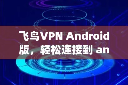 飞鸟VPN Android版，轻松连接到 anywhere的VPN