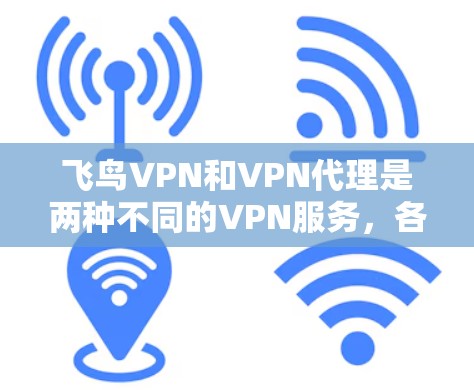 飞鸟VPN和VPN代理是两种不同的VPN服务，各有其优缺点。以下是对它们的详细比较