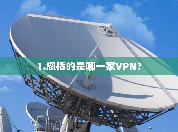 1.您指的是哪一家VPN？