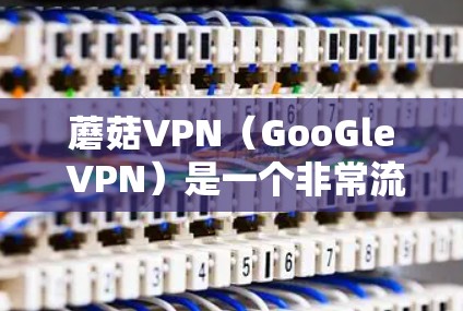 蘑菇VPN（GooGle VPN）是一个非常流行的加密VPN服务，提供了一个安全、高效、且功能丰富的网络连接体验。以下是关于蘑菇VPN的详细介绍