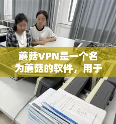 蘑菇VPN是一个名为蘑菇的软件，用于VPN功能的下载和安装。如果你正在寻找蘑菇VPN的APK文件，以下是一些建议