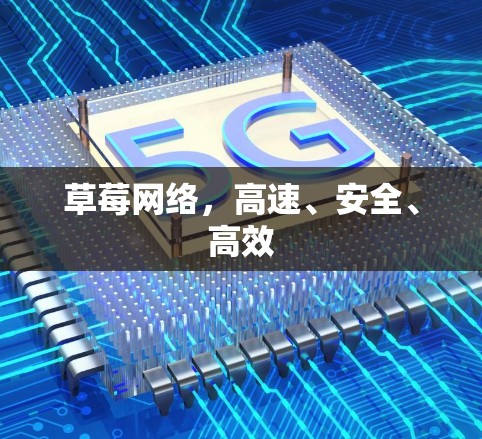 草莓网络，高速、安全、高效