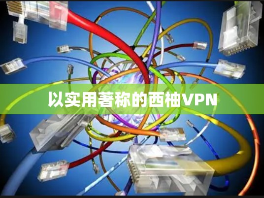 以实用著称的西柚VPN