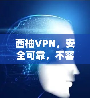 西柚VPN，安全可靠，不容错过