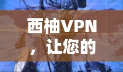 西柚VPN，让您的网络更安全，更便捷
