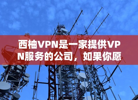 西柚VPN是一家提供VPN服务的公司，如果你愿意尝试，可以考虑以下几点