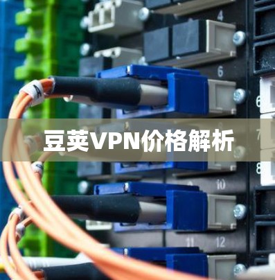 豆荚VPN价格解析