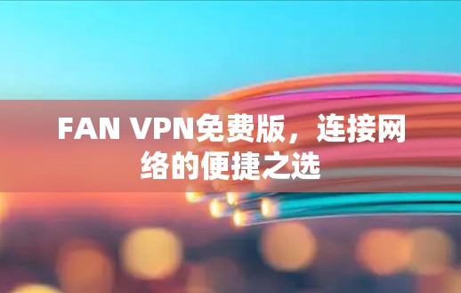 FAN VPN免费版，连接网络的便捷之选