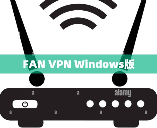 FAN VPN Windows版