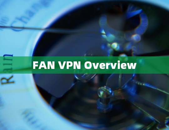 FAN VPN Overview