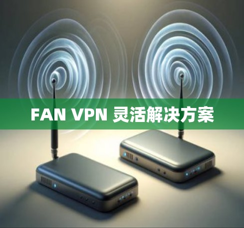 FAN VPN 灵活解决方案