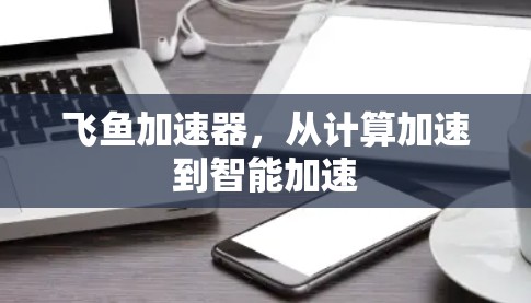 飞鱼加速器，从计算加速到智能加速