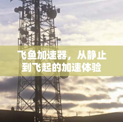飞鱼加速器，从静止到飞起的加速体验