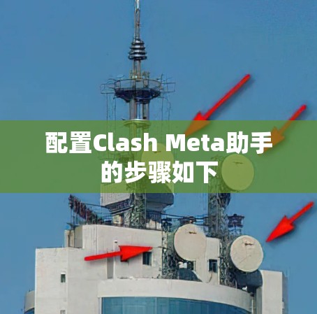 配置Clash Meta助手的步骤如下