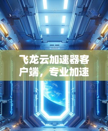 飞龙云加速器客户端，专业加速优化，提升网站流量