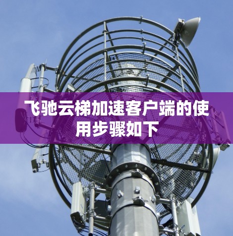 飞驰云梯加速客户端的使用步骤如下