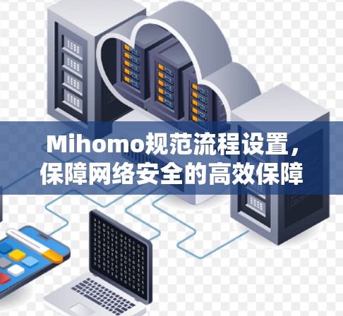 Mihomo规范流程设置，保障网络安全的高效保障