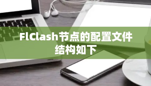 FlClash节点的配置文件结构如下