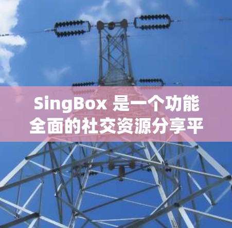 SingBox 是一个功能全面的社交资源分享平台，用户可以通过上传和分享各种资源，如书籍、视频、图片等，与他人互动并获得帮助。以下是一些使用SingBox的详细步骤和技巧