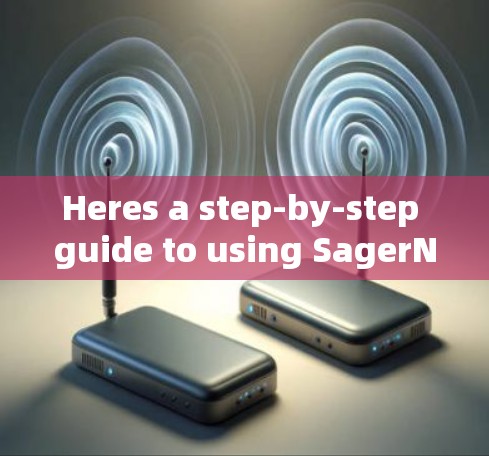 Heres a step-by-step guide to using SagerNets Android client: