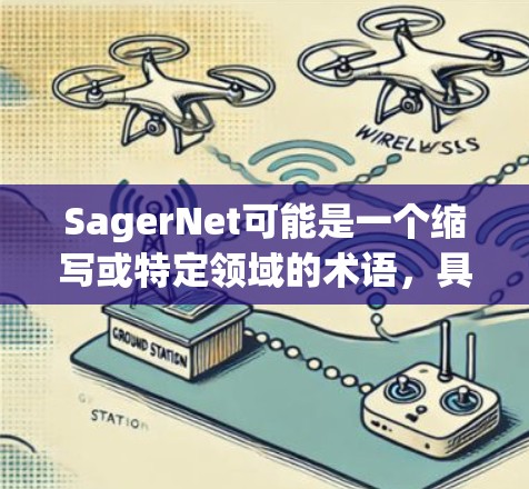 SagerNet可能是一个缩写或特定领域的术语，具体含义取决于上下文。如果你指的是某个特定的网络工具、软件、工具或技术，可能需要更多的上下文信息来提供准确的解答
