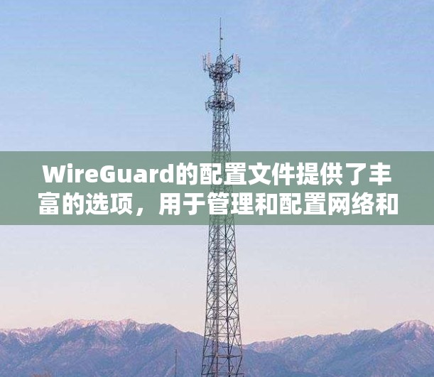 WireGuard的配置文件提供了丰富的选项,用于管理和配置网络和安全设置。以下是详细的步骤指南,帮助您正确配置WireGuard