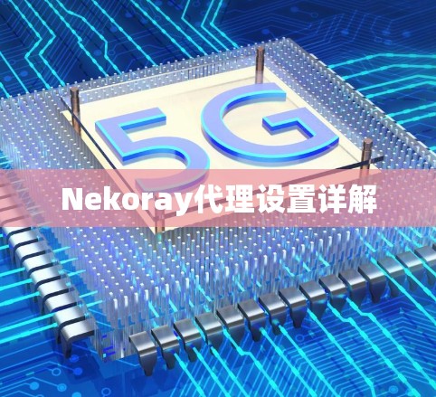 Nekoray代理设置详解