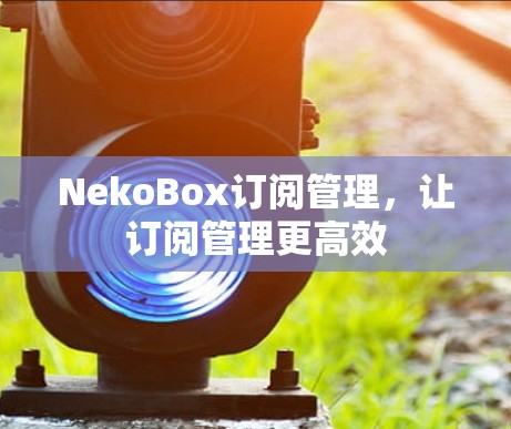 NekoBox订阅管理,让订阅管理更高效 NekoBox订阅管理,让订阅管理更高效