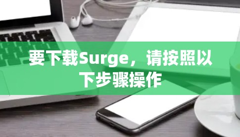 要下载Surge，请按照以下步骤操作