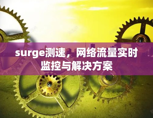 surge测速,网络流量实时监控与解决方案 surge测速,网络流量实时监控与解决方案