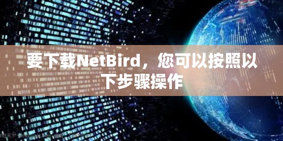 要下载NetBird,您可以按照以下步骤操作 要下载NetBird,您可以按照以下步骤操作