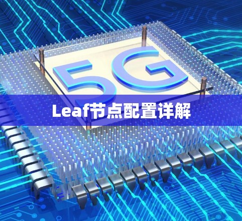 Leaf节点配置详解 Leaf节点配置详解