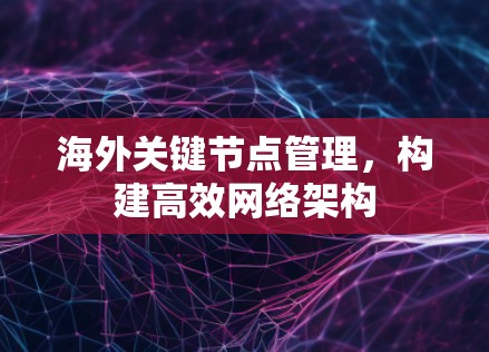海外关键节点管理，构建高效网络架构