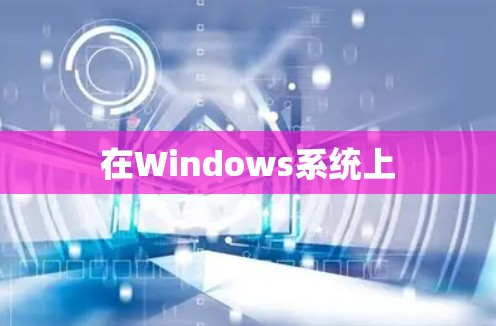 在Windows系统上