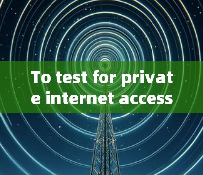 To test for private internet access lines,the following structured approach is recommended: To test for private internet access lines,the following structured approach is recommended: