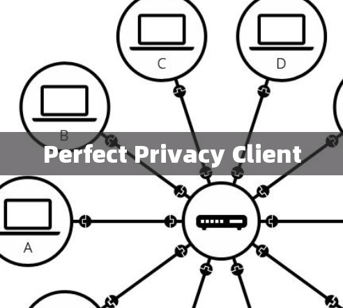 Perfect Privacy Client Perfect Privacy Client