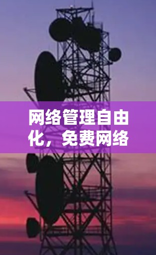 网络管理自由化,免费网络管理软件的便捷选择 网络管理自由化,免费网络管理软件的便捷选择