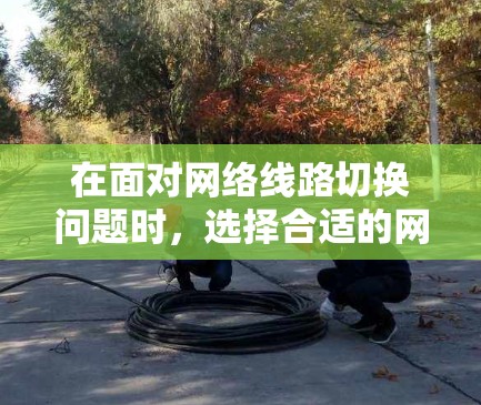 在面对网络线路切换问题时，选择合适的网络线路切换平台至关重要，每个平台各有其独特的优势和适用场景。以下是对各个平台的详细分析和推荐