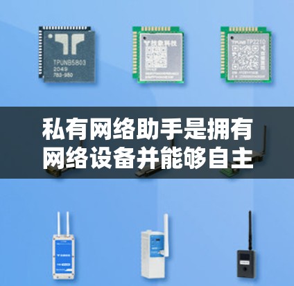 私有网络助手是拥有网络设备并能够自主管理网络的设备，通常包括路由器和交换机等。要管理它们，可以按照以下步骤进行