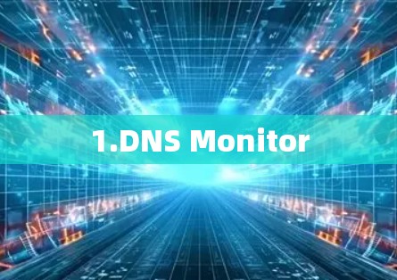 1.DNS Monitor 1.DNS Monitor